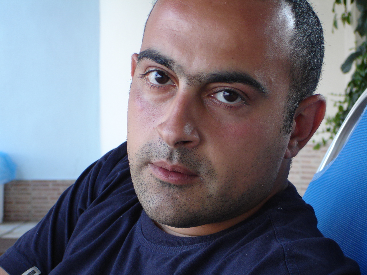 mo costandi