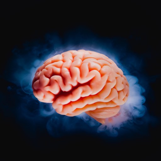 brain development age