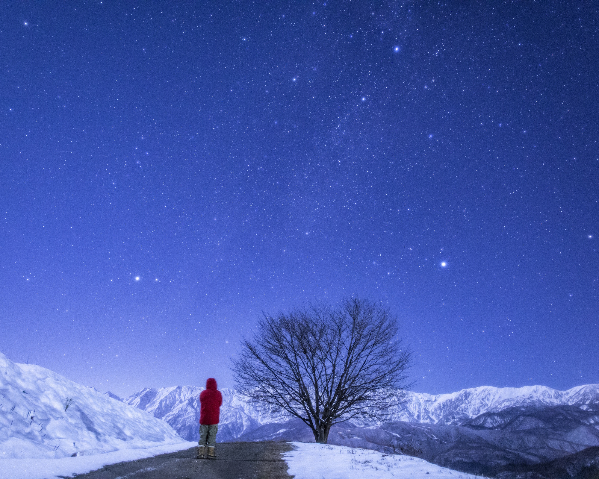 A person in a red jacket stands on a snowy path near a bare tree, looking up at a clear, star-filled night sky with mountains in the background.