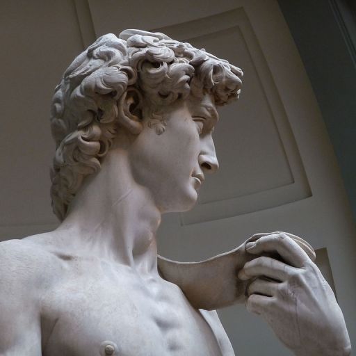 Michelangelo's David