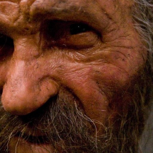 A reconstruction of the head of Ötzi the Iceman.