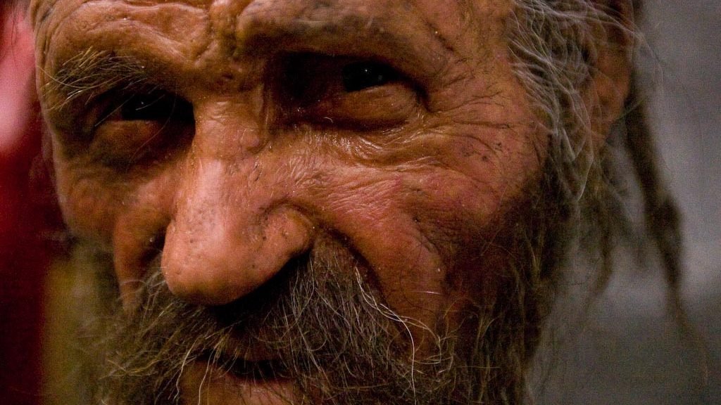 A reconstruction of the head of Ötzi the Iceman.