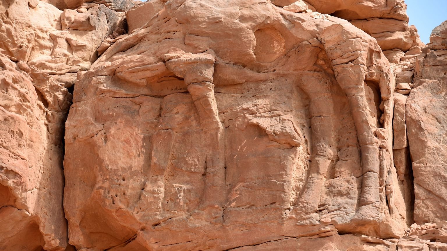 stone camels