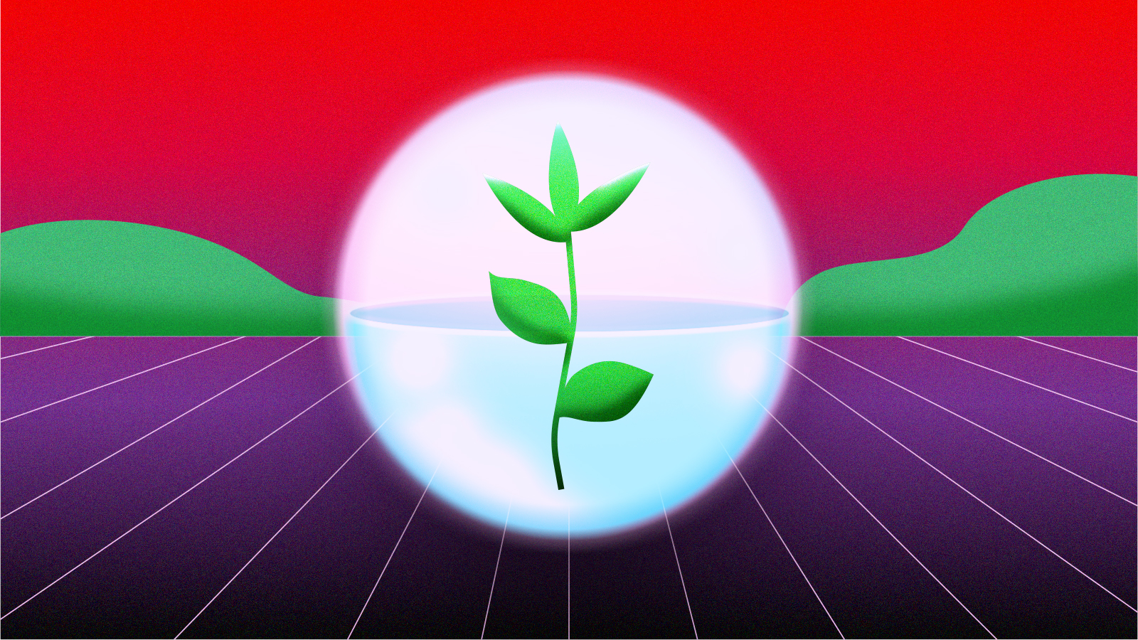 primary keyword of emily's test article