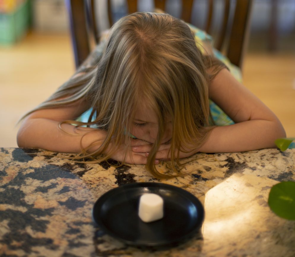 Young child sitting at a table waiting patiently for a marshmallow.