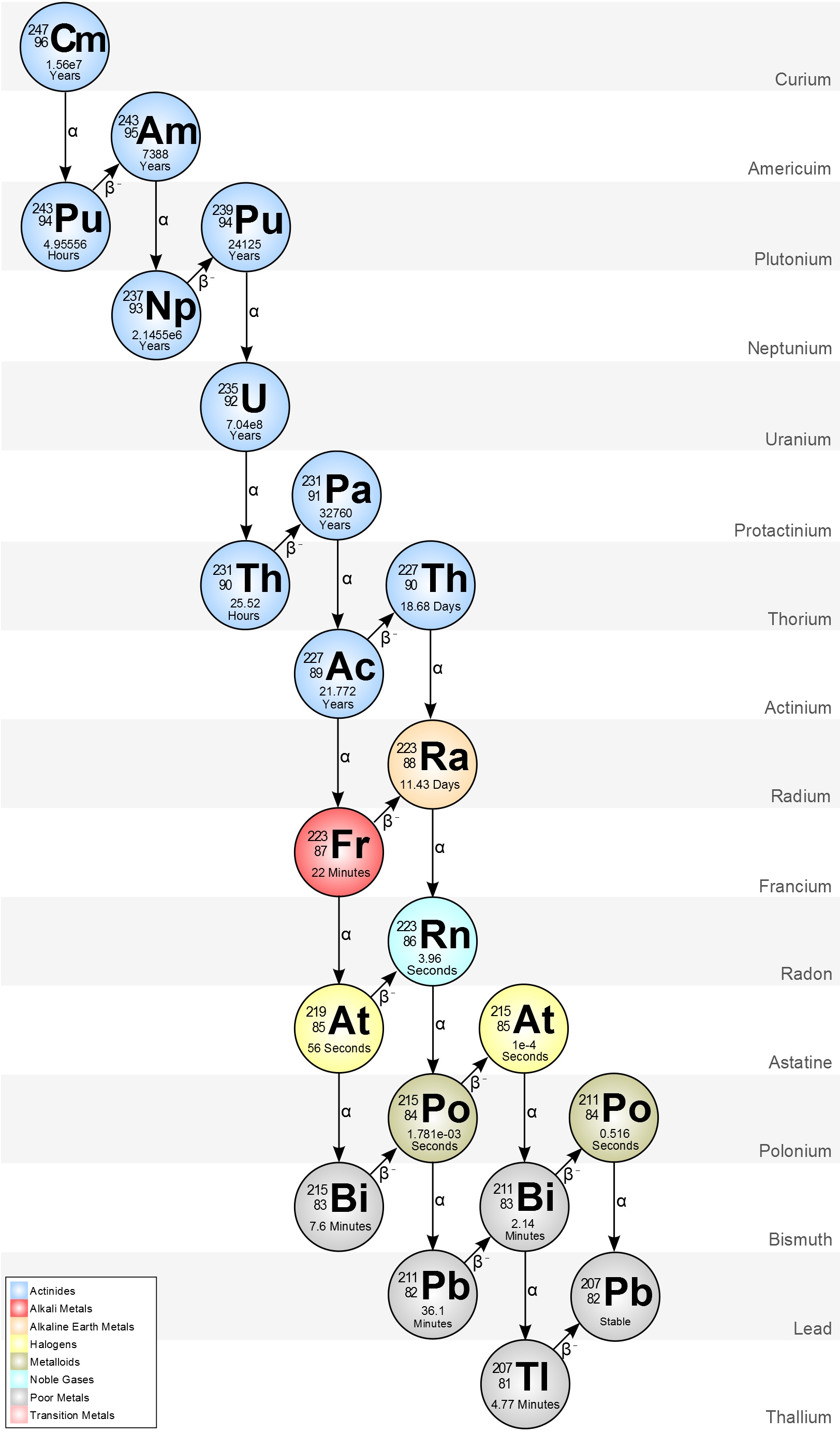 Decay chain diagram illustrating how elements transform from curium (Cm) to thallium (Tl), with elemental symbols, atomic numbers, and half-lives for each isotope in the sequence.