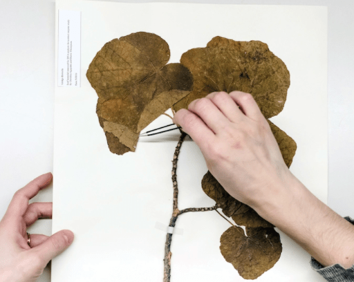 resurrecting the sublime