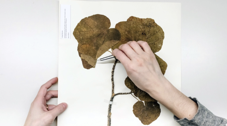 resurrecting the sublime