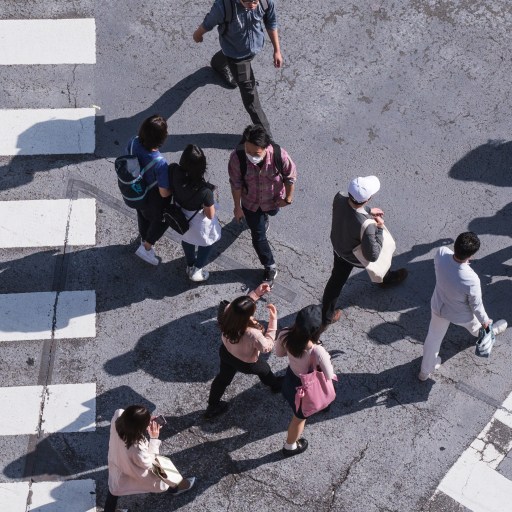 How our brains navigate cities