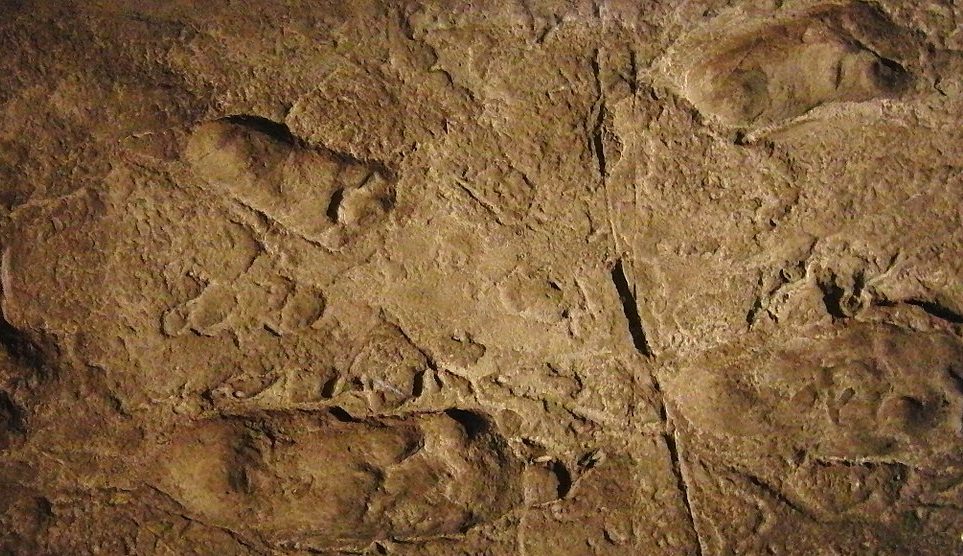 Laetoli