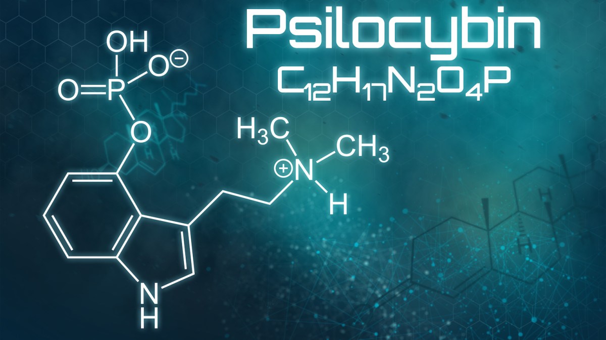 psilocybin