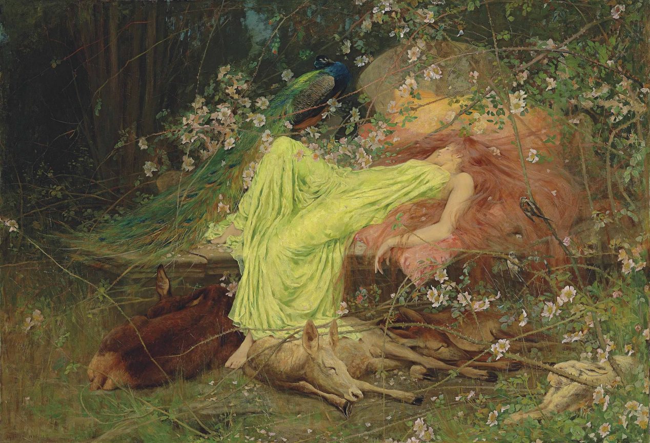 Sleeping beauty sleeps in an enchanted forest.
