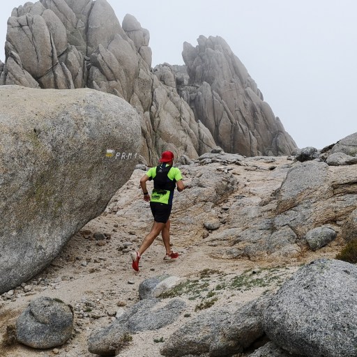 Trail running on a foggy day - New Year's resolutions