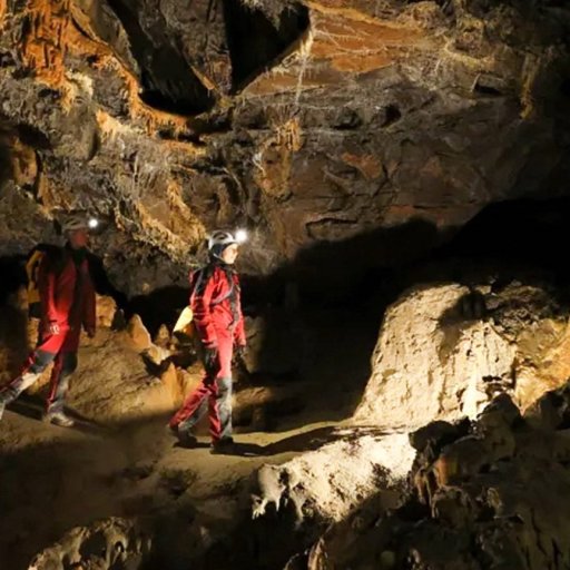 isolation experiment