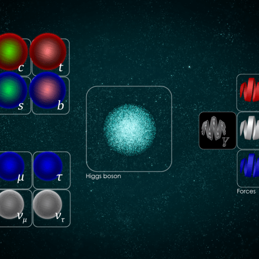 standard model structure