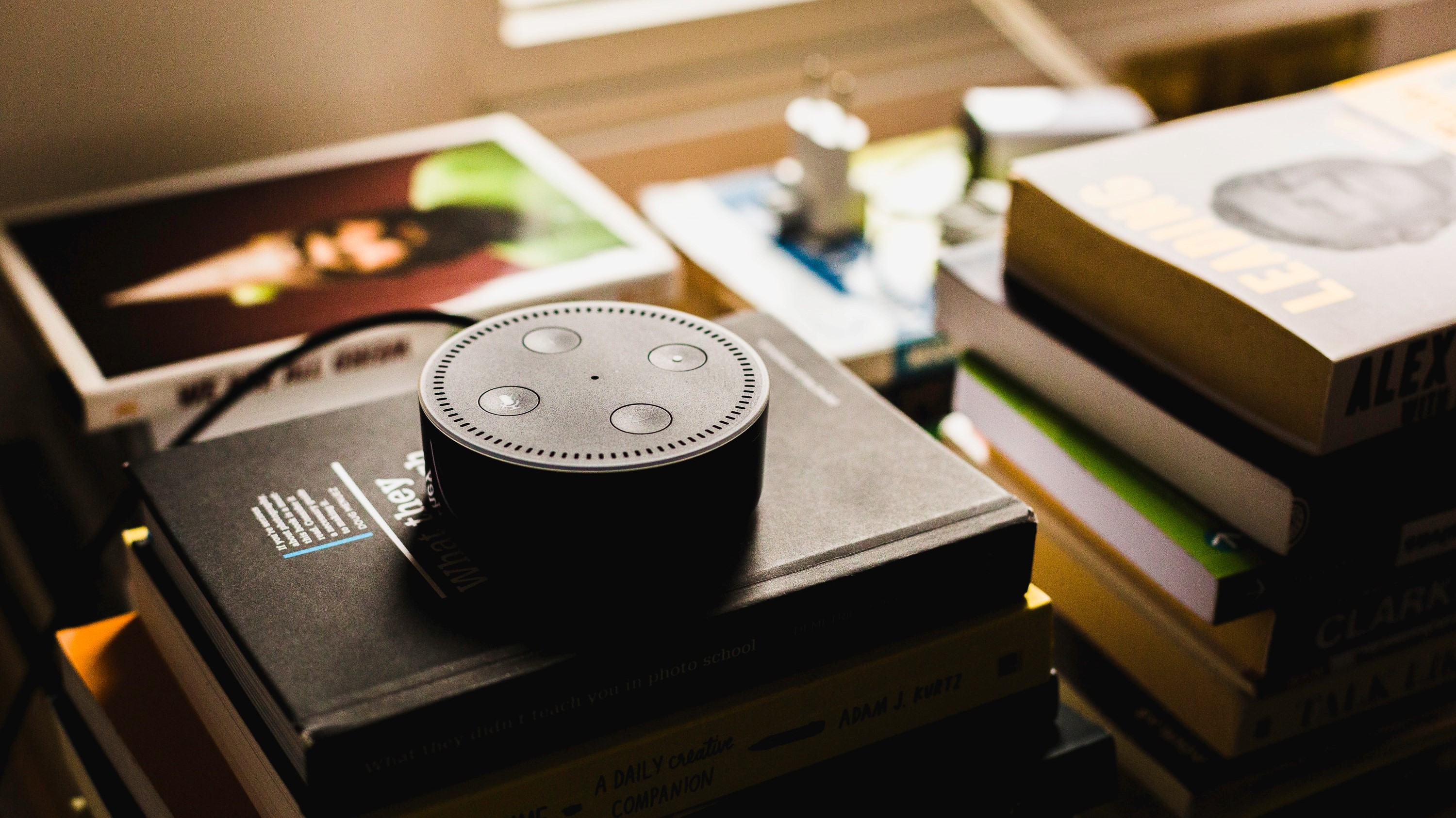 Alexa on a pile of books.