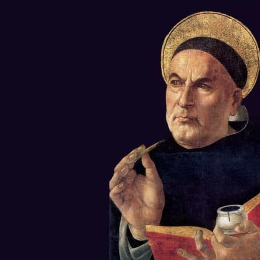 Thomas Aquinas and hope in times of despair