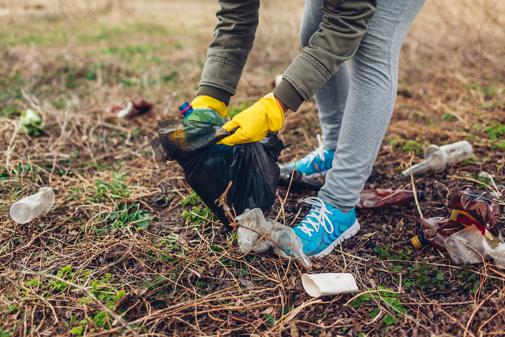 litter morality