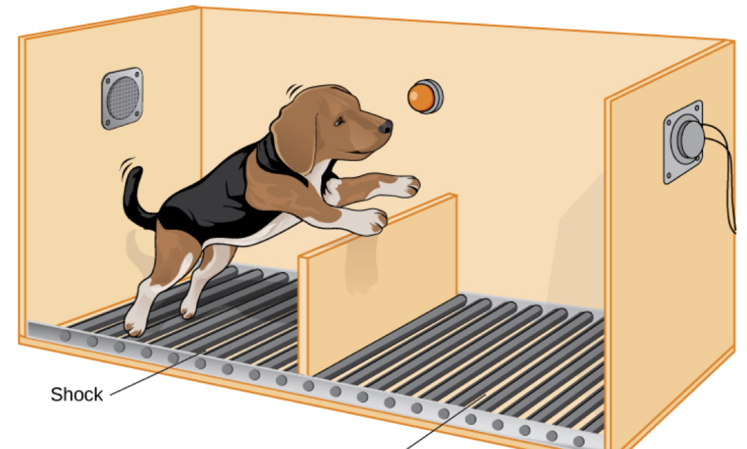 learned helplessness