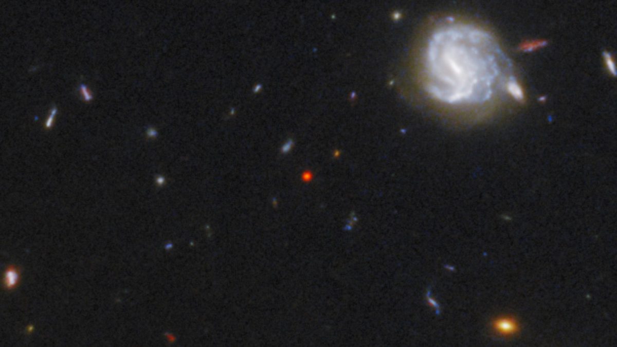 quasar-galaxy hybrid