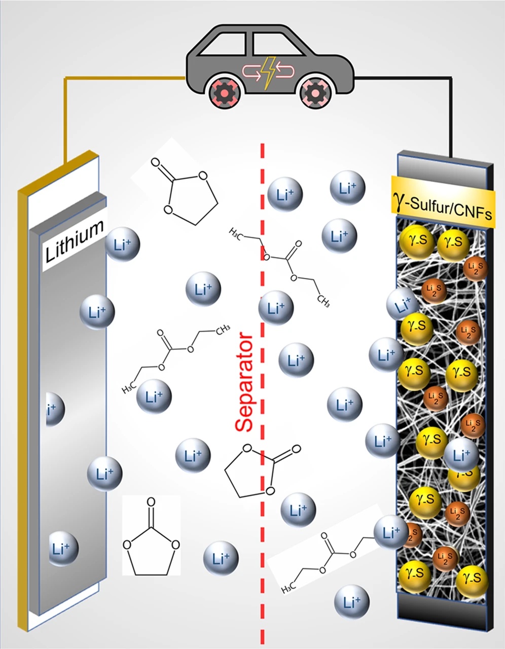 lithium-sulfur batteries