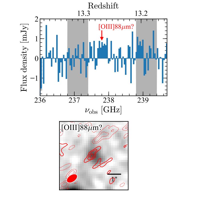 HD1 candidate galaxy problem