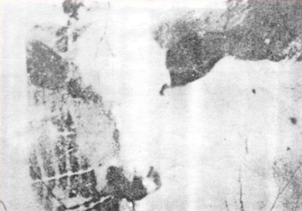 Question your perceptions