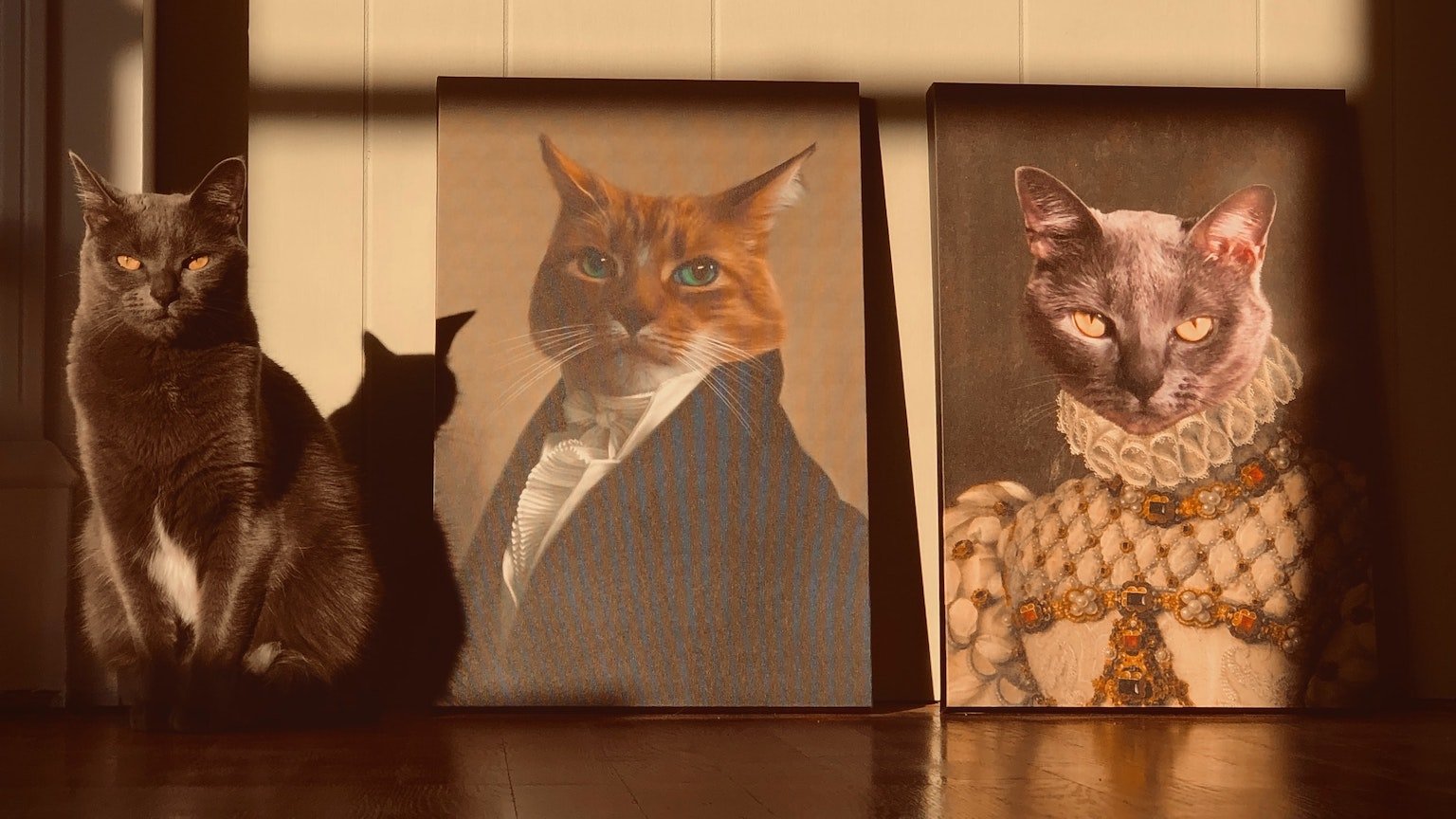 cat names