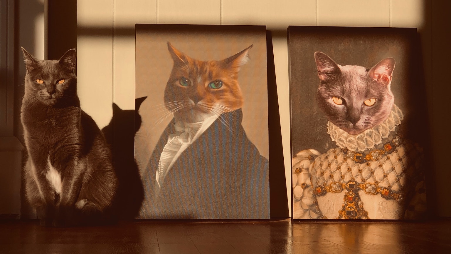 cat names