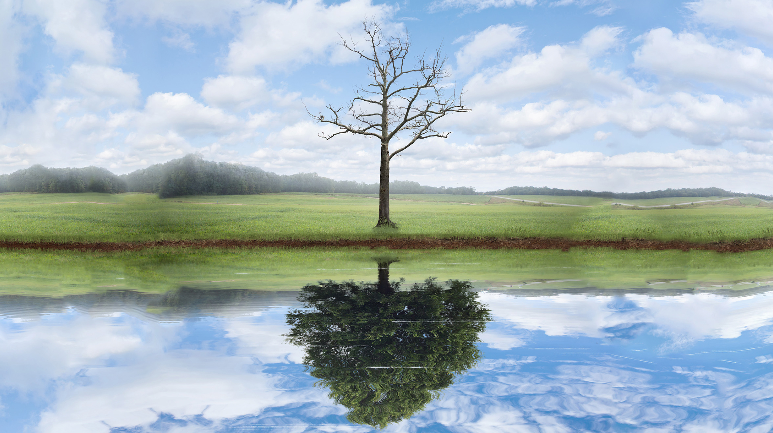 life after near death experiences