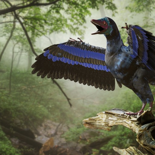 dinosaurs warm-blooded