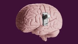 Illustration of a human brain with a metallic on/off switch embedded in its side, set against a solid dark purple background.
