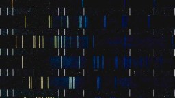 A dark background with vertical lines of varying lengths and colors—yellow, blue, and white—arranged in uneven rows and columns, evoking the randomness of the genetic lottery.