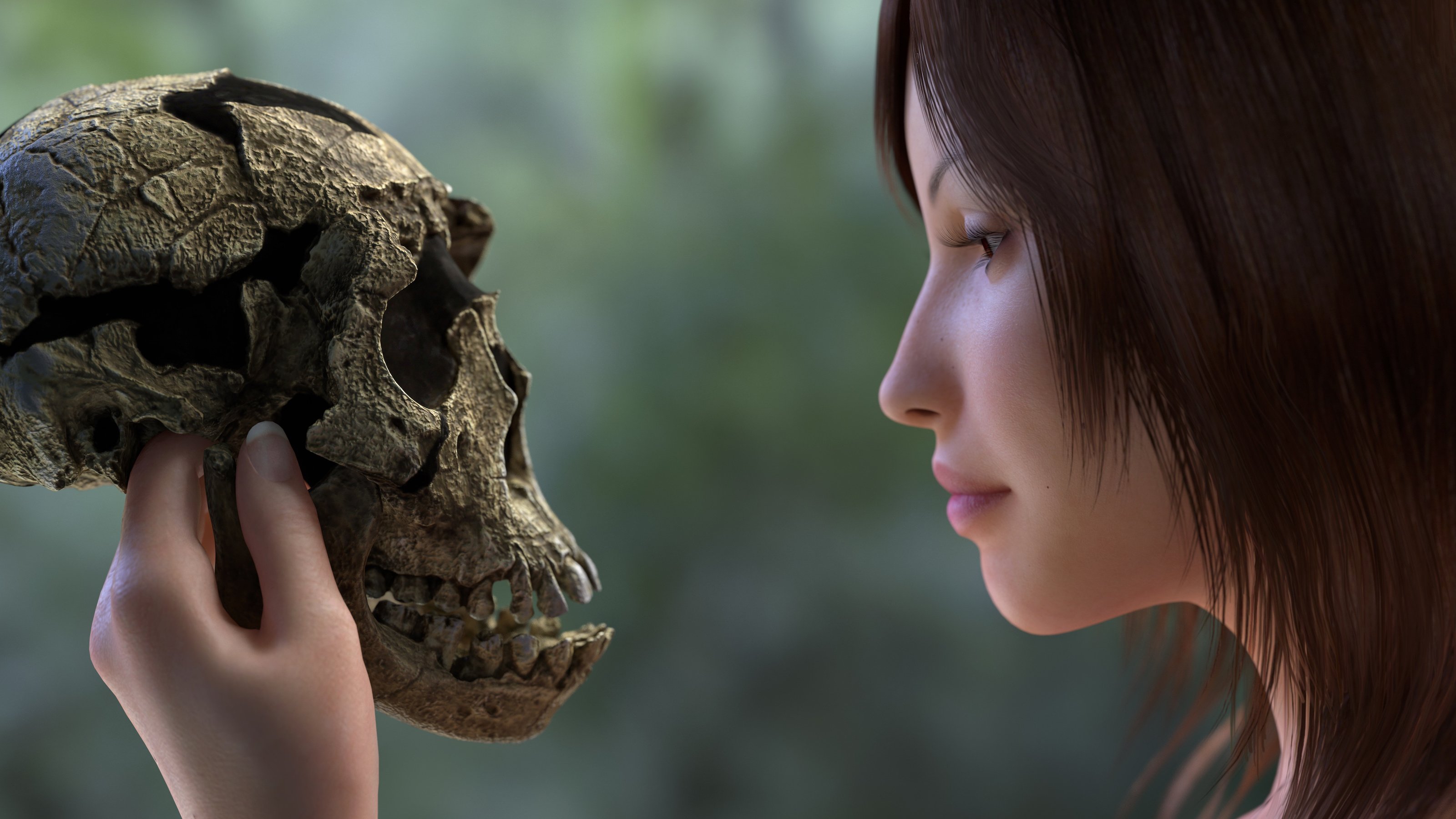 human evolution