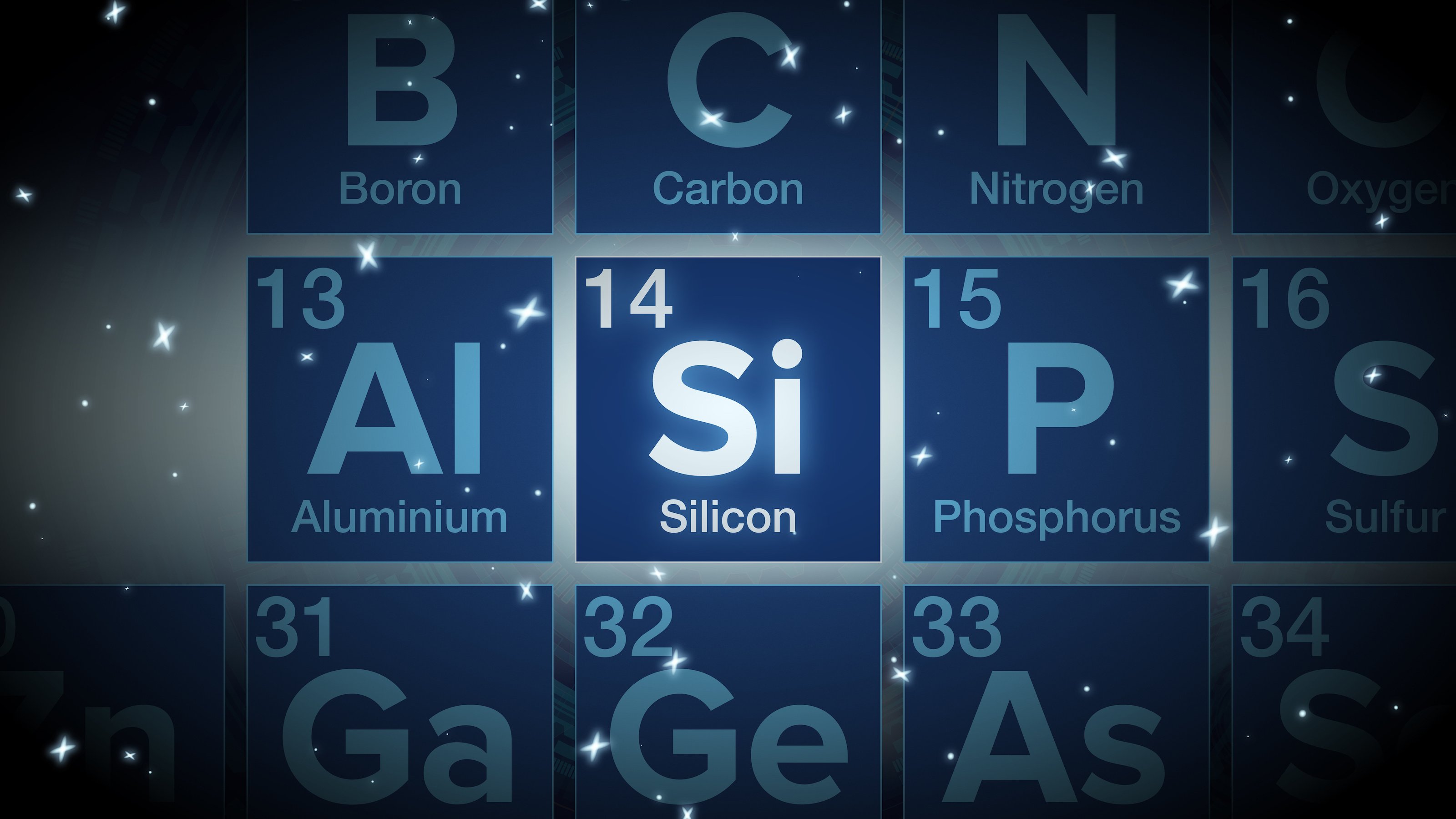 silicon life