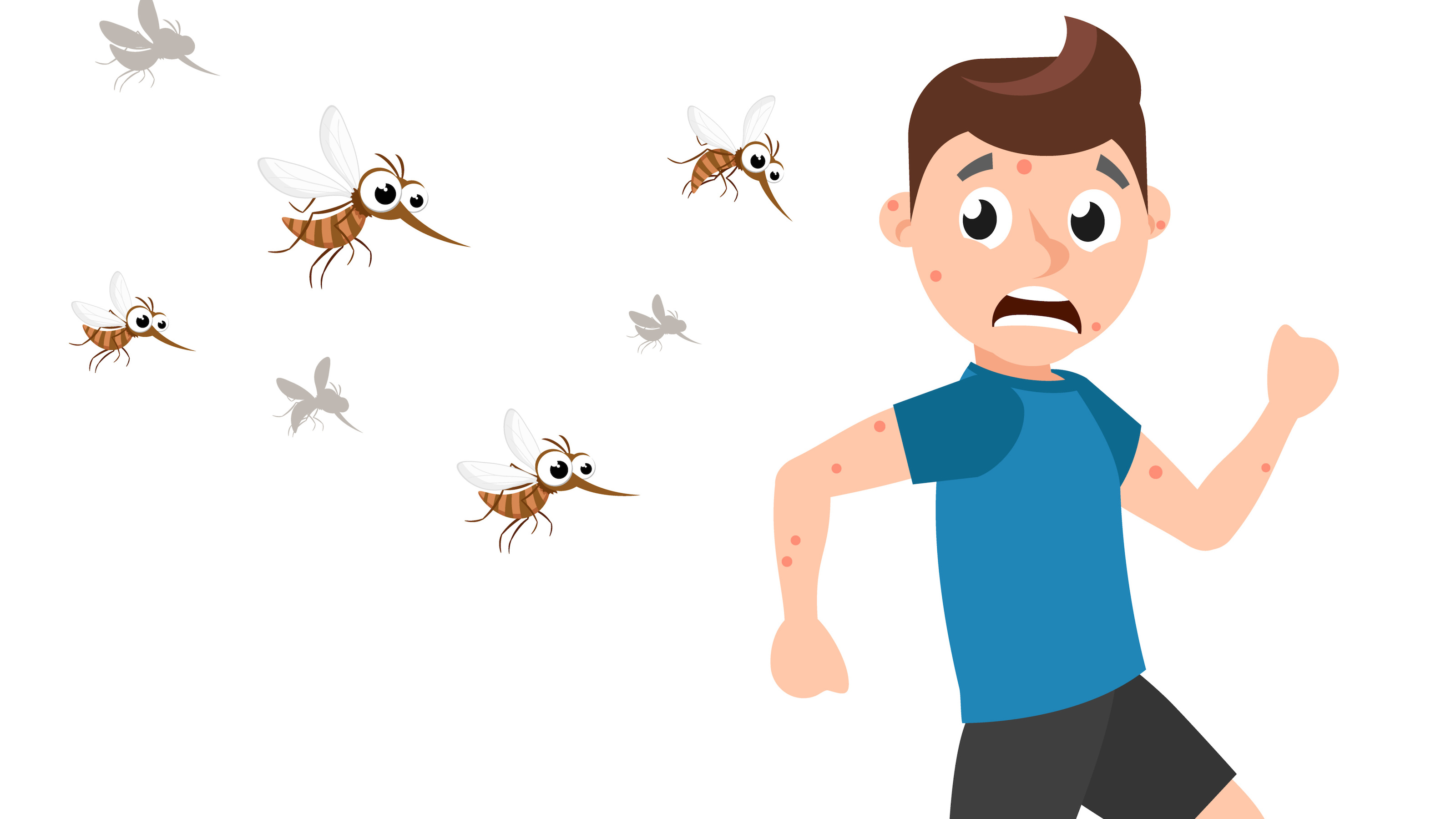 mosquitoes