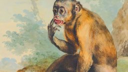 A painting of a brown monkey sitting on the ground with one hand raised to its mouth, looking to the left with a surprised expression.