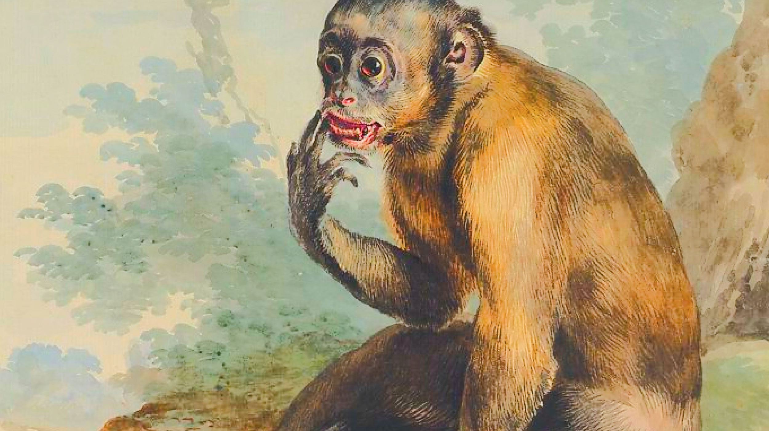 A painting of a brown monkey sitting on the ground with one hand raised to its mouth, looking to the left with a surprised expression.