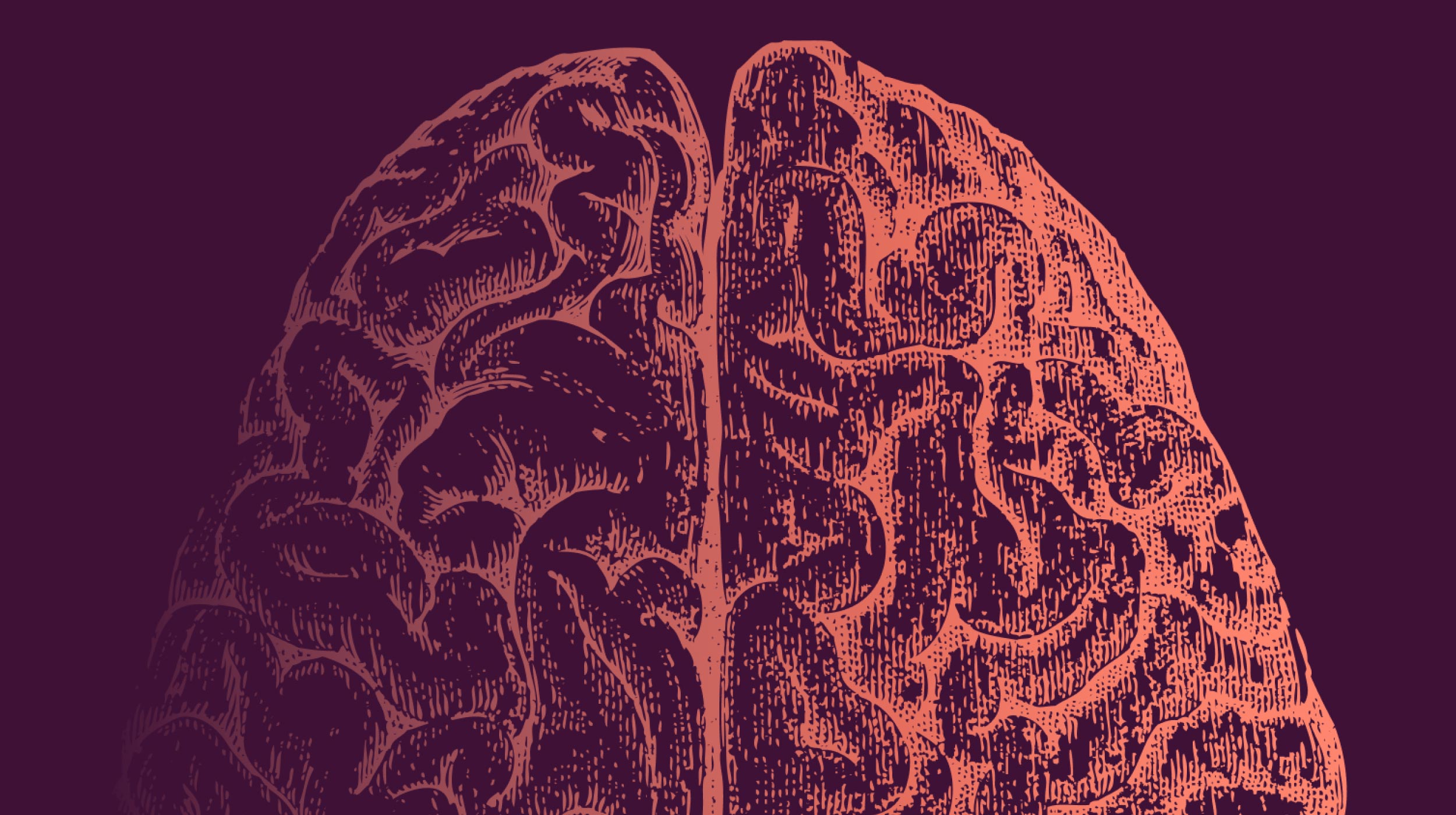 Illustration of the top view of a human brain, showing detailed grooves and folds, with a textured, etched style on a dark background—evoking the complexity of mental feedback loops.