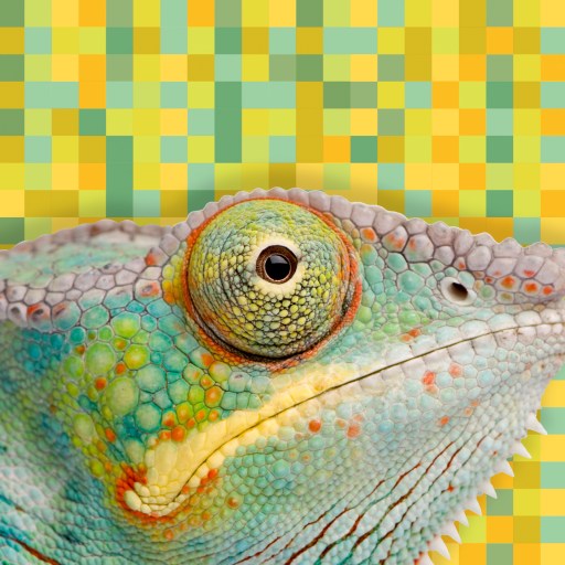 Transformative Learning