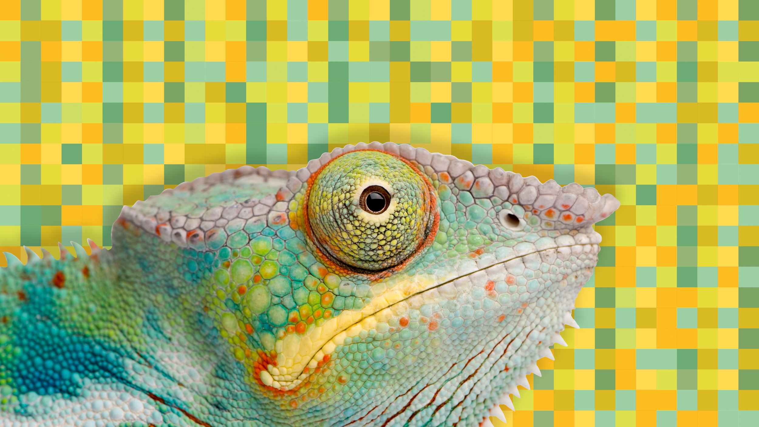 Transformative Learning