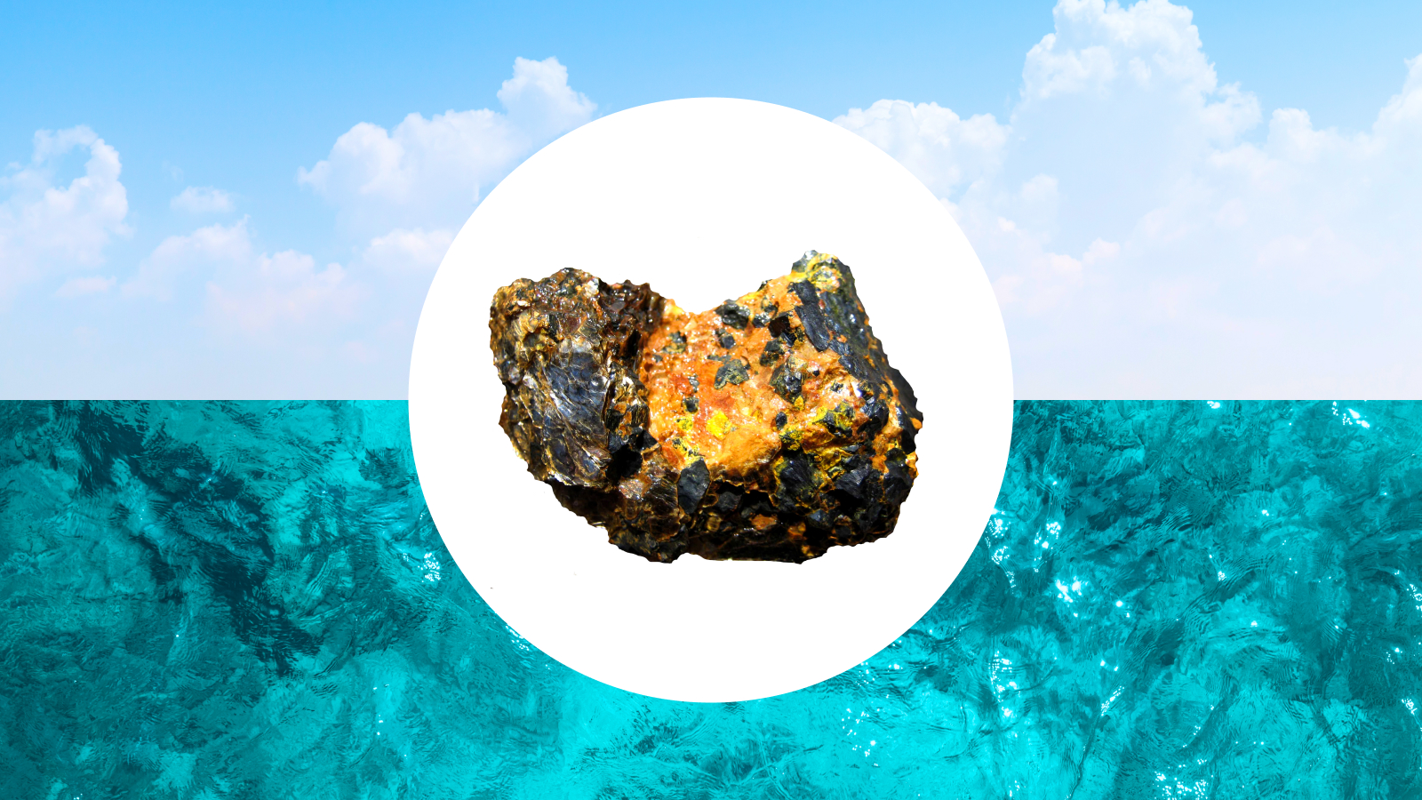 uranium seawater