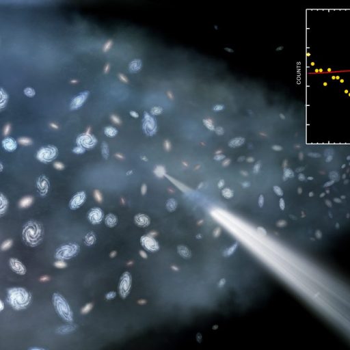 warm-hot intergalactic medium sculptor wall