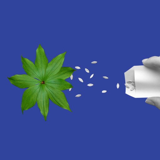 transfer of learning