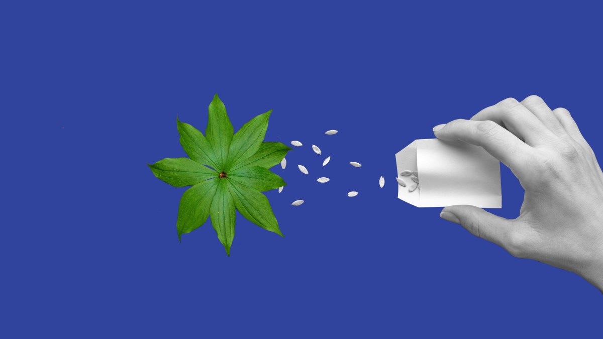 transfer of learning