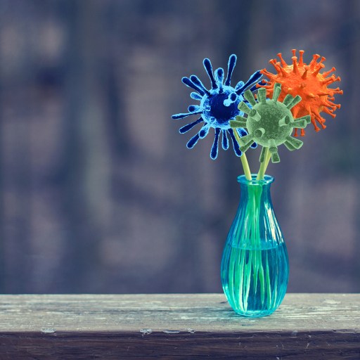 universal flu vaccine