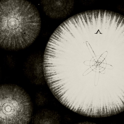 Black and white illustration of circular, radiating patterns with one large labeled circle "A" showing a central orbit-like design among several smaller circles.