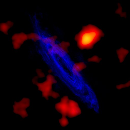 Ghosts of andromeda molecular clouds