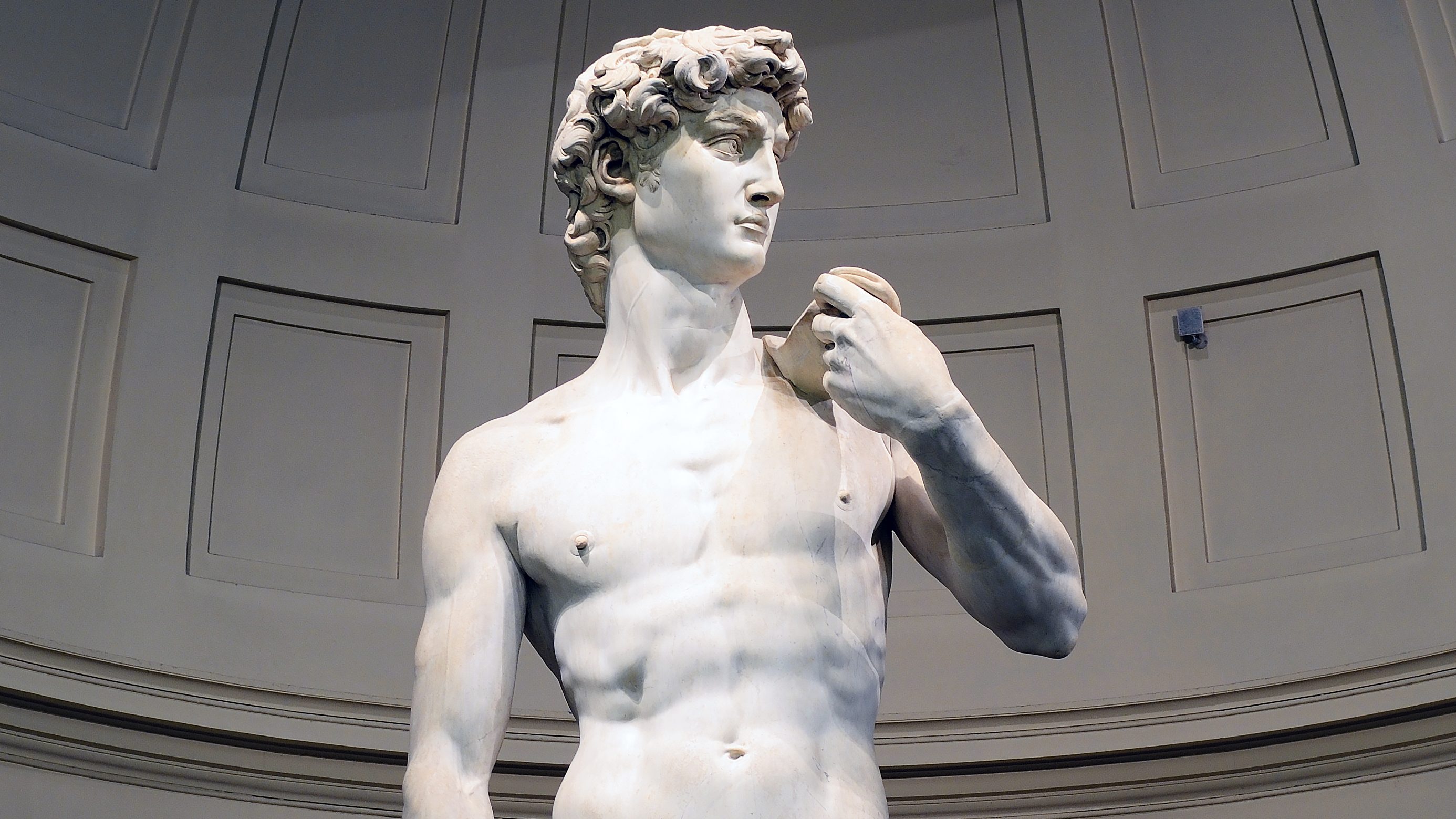 Michelangelo's David