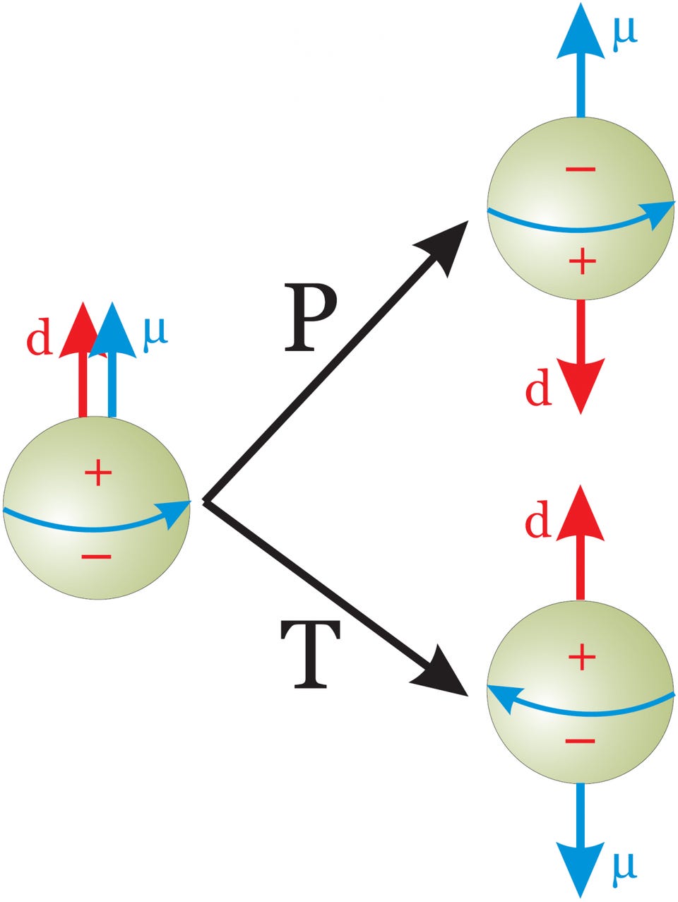 neutron electric dipole moment violation